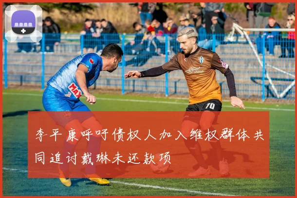 李平康呼吁债权人加入维权群体共同追讨戴琳未还款项