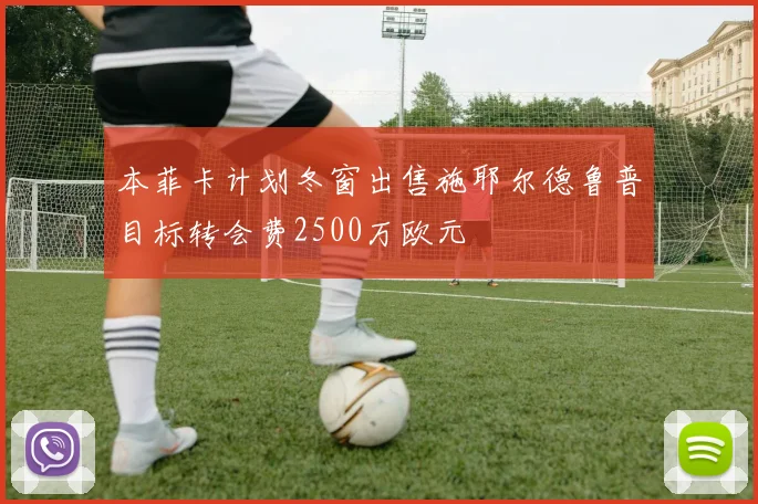 本菲卡计划冬窗出售施耶尔德鲁普目标转会费2500万欧元