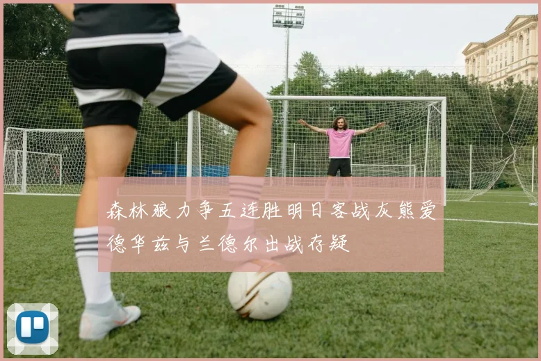 森林狼力争五连胜明日客战灰熊爱德华兹与兰德尔出战存疑
