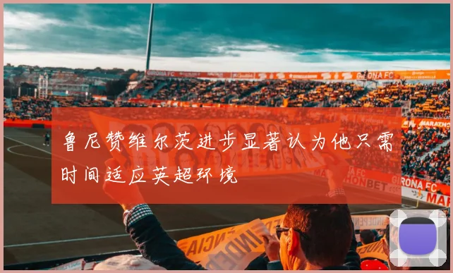 鲁尼赞维尔茨进步显著认为他只需时间适应英超环境