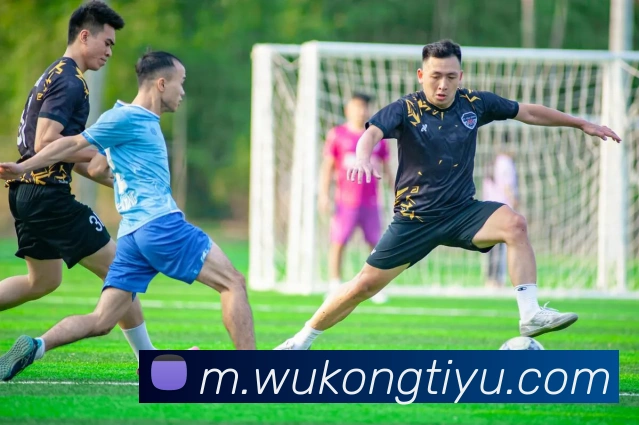 悟空体育平台生态图