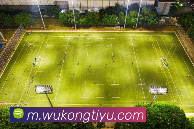 数据防护可视化